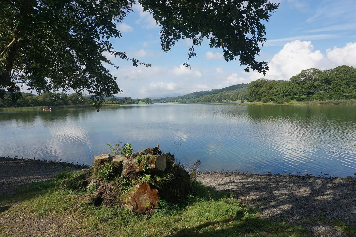Esthwaite Water in spring