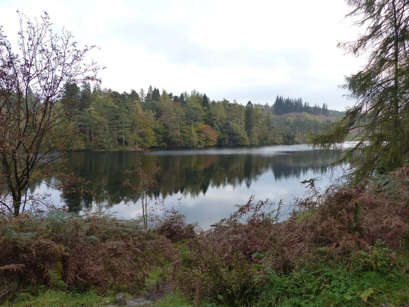 Tarn Hows in autumn colour