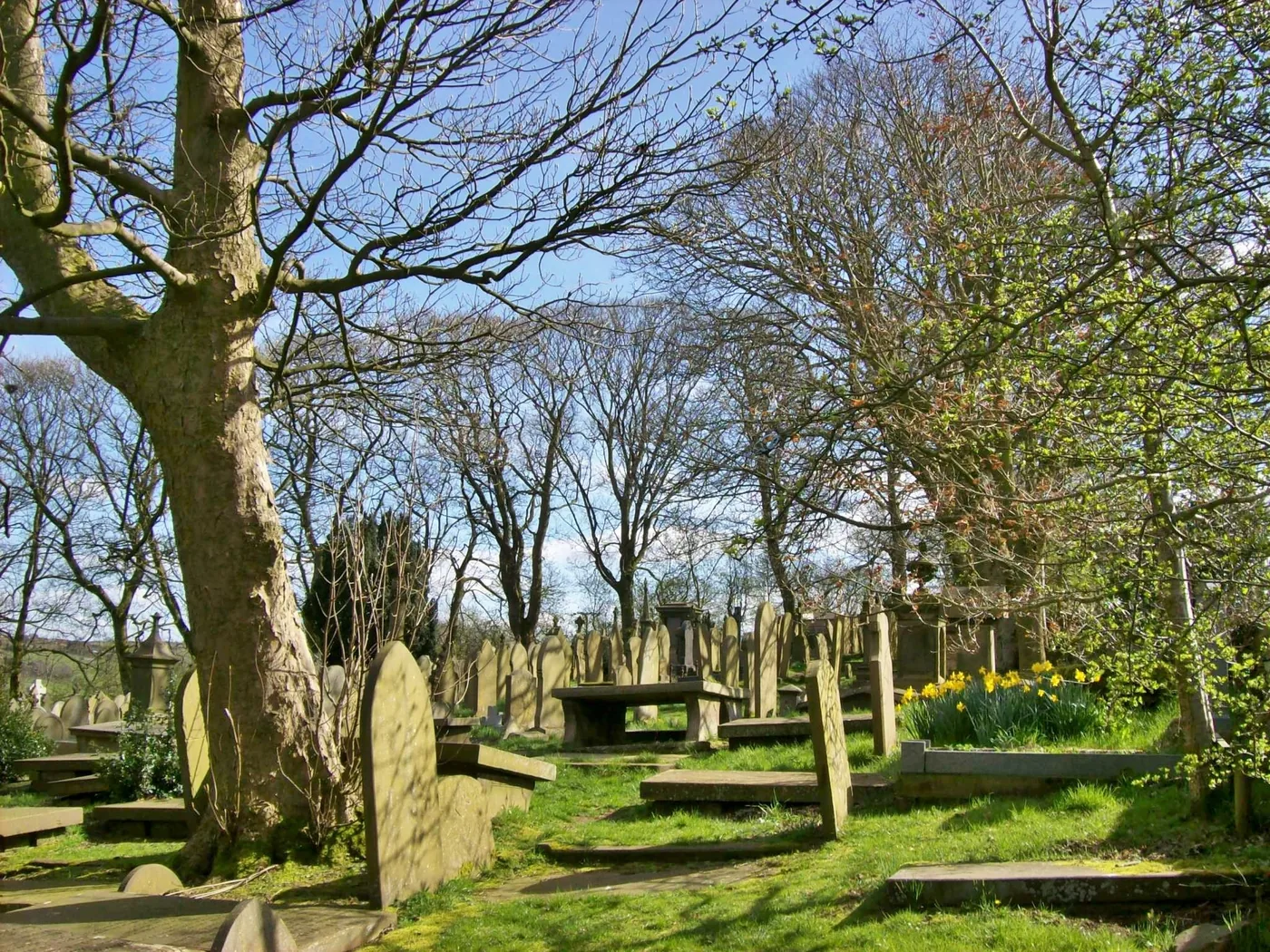 Gravestones under the trees in Haworth churchyard
