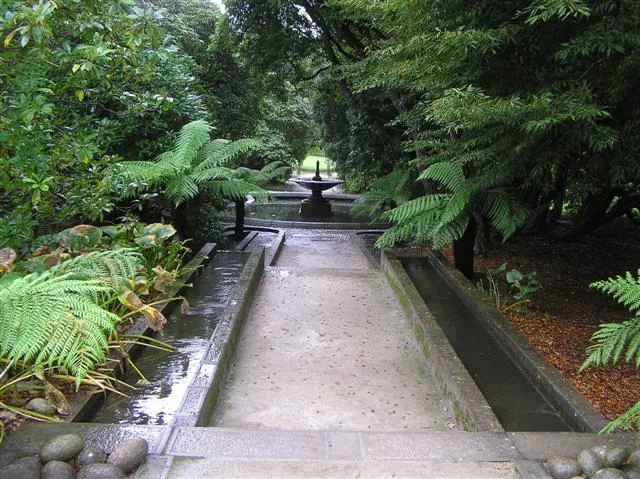 Water running down a stone cascade between ferns