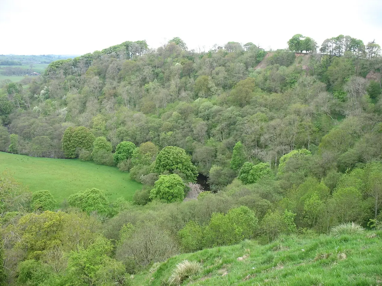 The wooded gorge of the River Irthing below Birdoswald