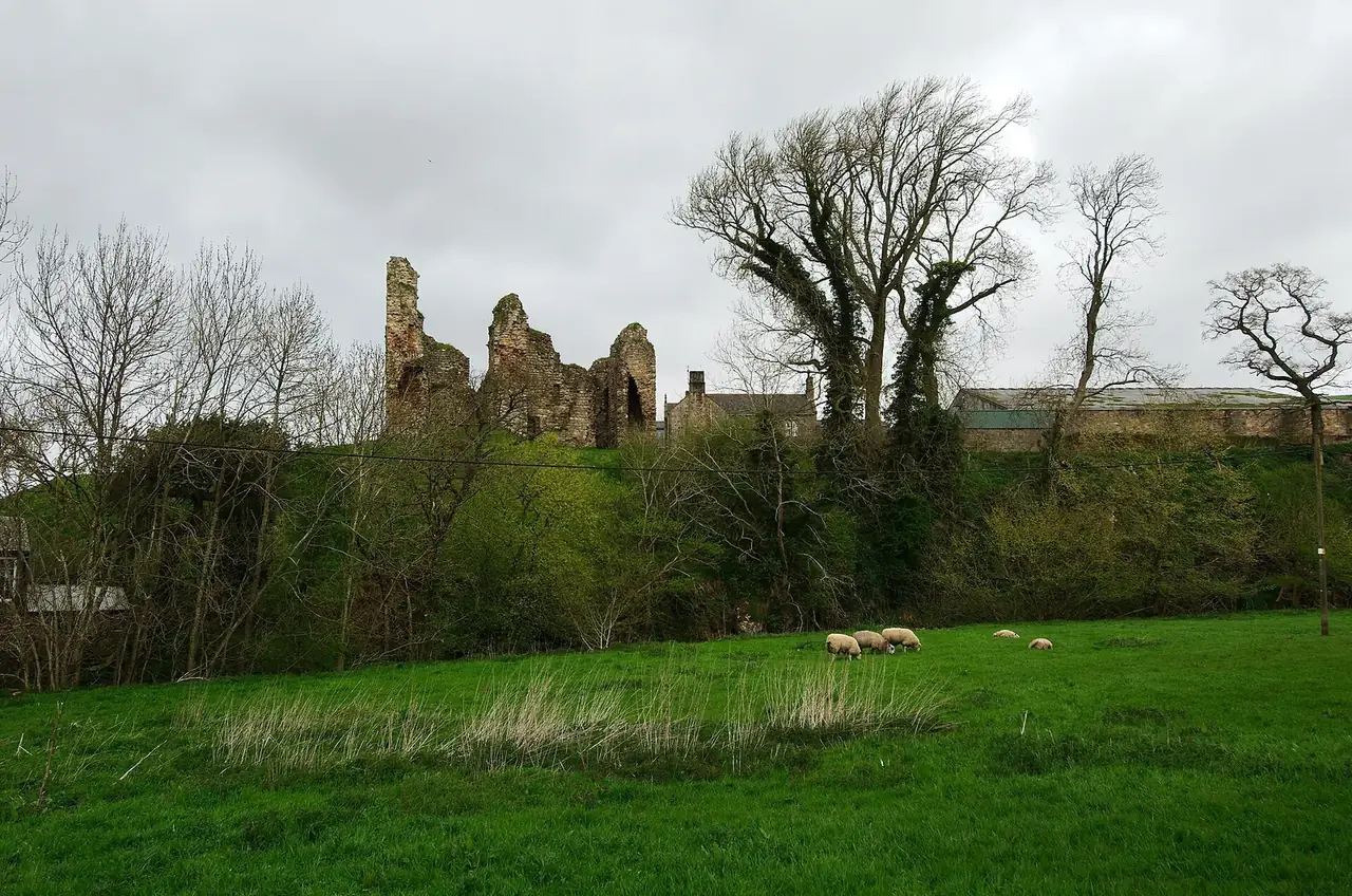 The ruin of Thirlwall Castle above the Tipalt valley, sheep in the field below