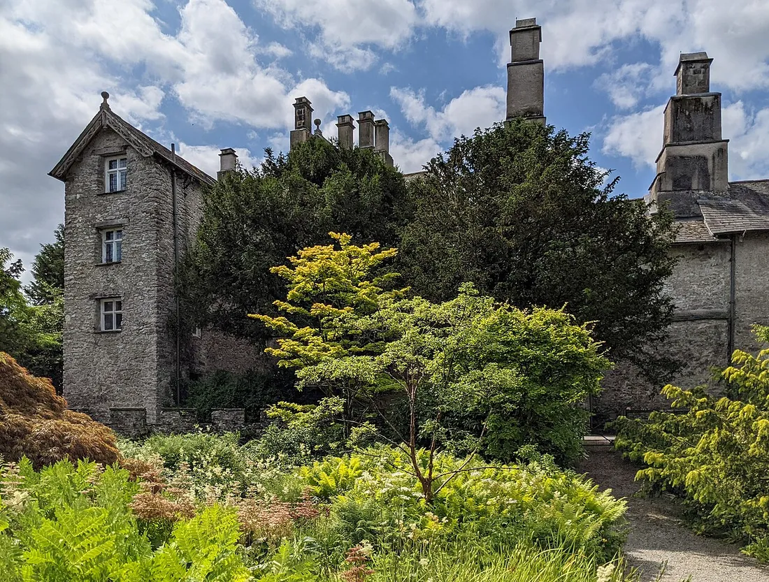Ferns and shrubs below the castle walls