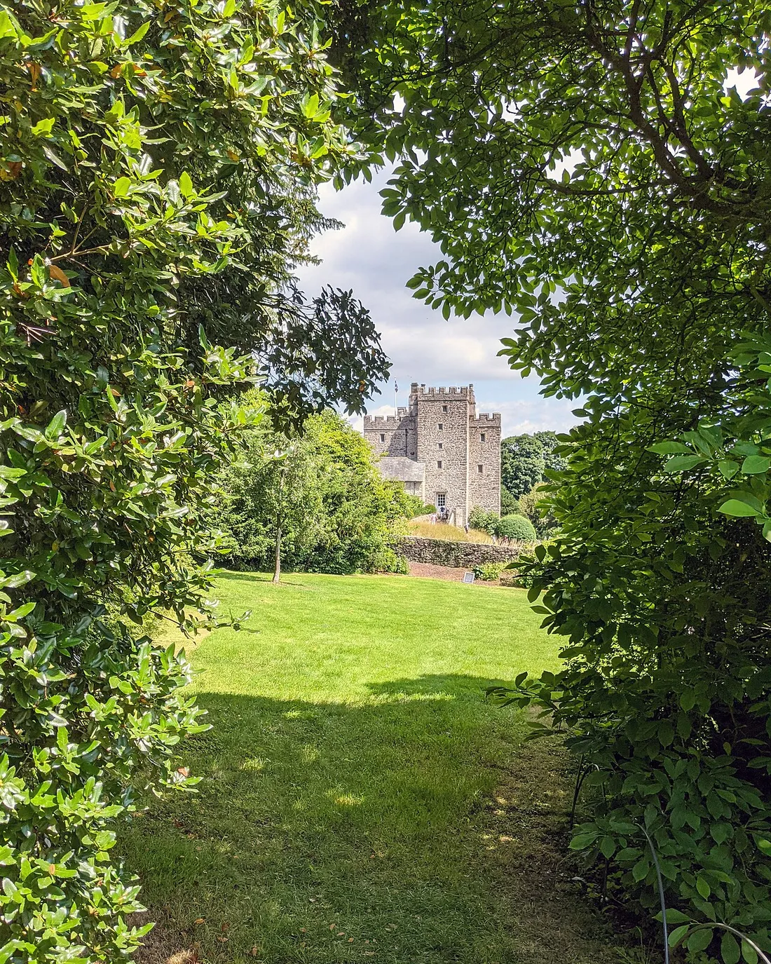 The castle tower framed by trees